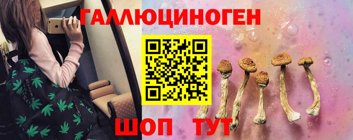 Курчатов  Галлюциногенные грибы Magic Shrooms  как найти наркотики  Псилоцибиновые грибы MAGIC MUSHROOMS  Вход с VPN 